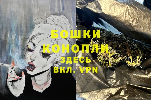 PSILOCYBIN Алексин
