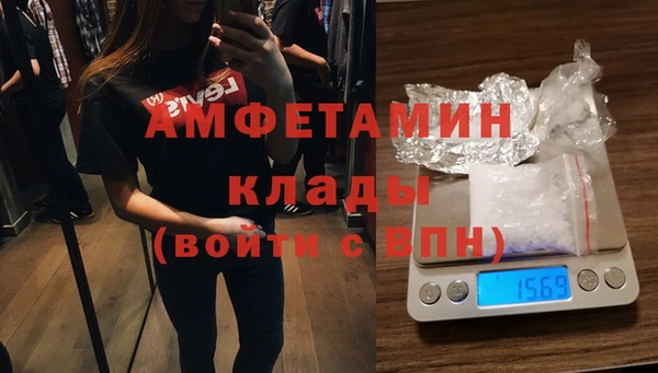 прущие грибы Абаза