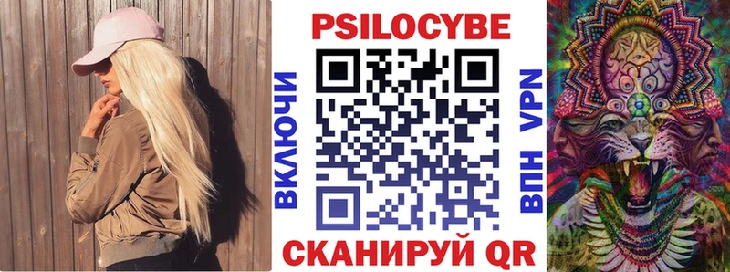 Псилоцибиновые грибы ЛСД  продажа наркотиков  blacksprut сайт  Тимашёвск 